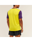 Professional Quick-Dry Sports Jersey
