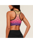 Women's Seamless High Support Sports Bra